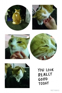 �ɂ��