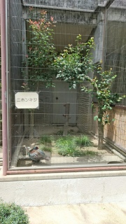 �L�W