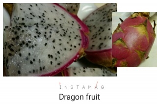 �h���S���t���[�c