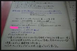 �f�̗�